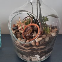 Impara online Arte vegetale: crea un terrario aperto (Fotosíntesis Green  Art)