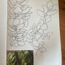 My project for course: Botanical Sketchbooking: A Meditative Approach. Traditional illustration, Sketching, Drawing, Watercolor Painting, Botanical Illustration, and Sketchbook project by Hayley Humphreys - 10.31.2023