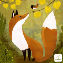 Fox & Junco for course: Playful Animal Illustration with Photoshop. Un proyecto de Ilustración tradicional e Ilustración digital de lellobird - 05.11.2023