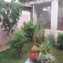 Mi proyecto del curso: Jardin Nave. Un proyecto de Paisajismo, Diseño floral, vegetal, Diseño de espacios, Lifest y le de Nayla Hernandez - 28.11.2023