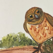 My project for course: Artistic Watercolor Techniques for Illustrating Birds. Traditional illustration, and Naturalistic Illustration project by Chrees Jubilee - 12.15.2023