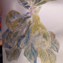 My project for course: Botanical Sketchbooking: A Meditative Approach. Un projet de Illustration traditionnelle, Esquisse , Dessin, Aquarelle, Illustration botanique , et Carnet de croquis de Alina Floroi - 21.12.2023