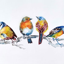 My project for course: Artistic Watercolor Techniques for Illustrating Birds. Traditional illustration, Watercolor Painting, Realistic Drawing, and Naturalistic Illustration project by Andrea Csepeli - 12.27.2023