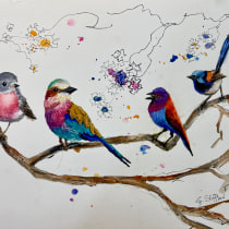 My project for course: Artistic Watercolor Techniques for Illustrating Birds. Traditional illustration, Watercolor Painting, Realistic Drawing, and Naturalistic Illustration project by Sheryl Stiffler - 12.30.2023
