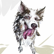 Lila the border collie. Traditional illustration, Digital Illustration, and Graphic Humor project by dominika.syczynska - 01.21.2024