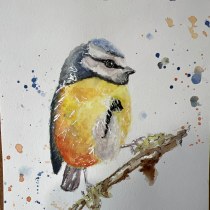 My project for course: Artistic Watercolor Techniques for Illustrating Birds. Traditional illustration, Watercolor Painting, Realistic Drawing, and Naturalistic Illustration project by susannahrthompson - 01.22.2024