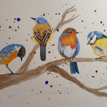 My project for course: Artistic Watercolor Techniques for Illustrating Birds. Un projet de Illustration traditionnelle, Aquarelle, Dessin réaliste et Illustration naturaliste de Kate P - 24.01.2024