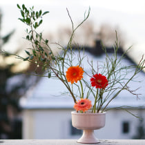 My land burns red ❤️‍🔥, Ikebana: arreglos florales para principiantes. Un projet de Design d'intérieur, Décoration, Décoration d'intérieur, Art floral et végétal, Lifest , et le de Sara Mayoral - 17.01.2024