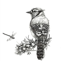 My project for course: Naturalist Illustration with Ballpoint Pen . Traditional illustration, Drawing, Realistic Drawing, and Naturalistic Illustration project by Sylvia Strauss - 02.03.2024