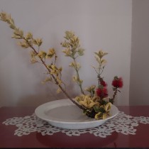 Mi primer Diseño Ikebana. Un proyecto de Diseño de interiores, Decoración de interiores, Interiorismo, Diseño floral, vegetal, Lifest y le de Núria Martín Ribot - 10.02.2024