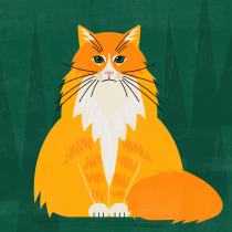 Cat's breed around the world. Un proyecto de Animación, Diseño interactivo, Infografía y Diseño digital de Claire - 12.02.2024