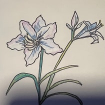 Mon projet du cours : Carnet de croquis botanique : une approche méditative. Drawing, and Botanical Illustration project by delphigi - 02.14.2024