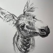 My project for course: Animal Illustration with Charcoal and Ink. Artes plásticas, Desenho, Ilustração com tinta e Ilustração naturalista projeto de Sabine Nimz - 01.03.2024