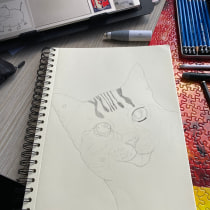 My project for course: The Art of Sketching: Transform Your Doodles into Art CAT ILLUSTRATION. Traditional illustration, Pencil Drawing, Drawing, and Sketchbook project by alejandracaceressalazar - 03.01.2024