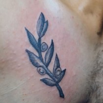 Mi proyecto del curso: Tatuaje botánico con puntillismo. Ilustração tradicional, Desenho de tatuagens e Ilustração botânica projeto de EM Laureano Negron - 11.06.2022