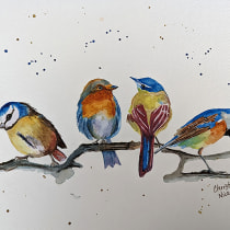 My project for course: Artistic Watercolor Techniques for Illustrating Birds. Un projet de Illustration traditionnelle, Aquarelle, Dessin réaliste et Illustration naturaliste de Christie Nicklay - 04.03.2024