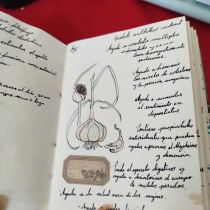 Mi proyecto del curso: Cuaderno botánico en acuarela. Traditional illustration, Watercolor Painting, Botanical Illustration, and Sketchbook project by Michelle Rosas - 03.09.2024