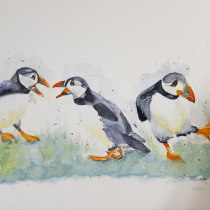 My project for course: Artistic Watercolour Birds... Puffin Band (singing and dancing)lor Techniques for Illustrating Birds. Traditional illustration, Watercolor Painting, Realistic Drawing, and Naturalistic Illustration project by susan1c - 03.07.2024