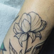 Mi proyecto del curso: Tatuaje botánico con puntillismo. Ilustração tradicional, Desenho de tatuagens e Ilustração botânica projeto de Beatriz De La Rosa - 17.03.2024
