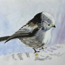 My project for course: Artistic Watercolor Techniques for Illustrating Birds. Traditional illustration, Watercolor Painting, Realistic Drawing, and Naturalistic Illustration project by ddsantos - 03.22.2024