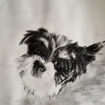 My project for course: Animal Illustration with Charcoal and Ink. Fine Arts, Drawing, Ink Illustration, and Naturalistic Illustration project by Heather Sanders - 04.01.2024