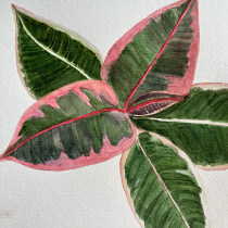 My project for course: Botanical Watercolor for Patterns. Traditional illustration, Pattern Design, Watercolor Painting, and Botanical Illustration project by elizcampos.silva - 04.05.2024