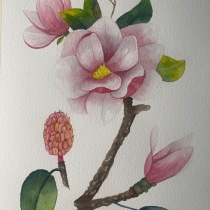 My project for course: Botanical Illustration with Watercolors. Traditional illustration, Fine Arts, Painting, Drawing, Watercolor Painting, and Botanical Illustration project by sjjk_s - 04.06.2024