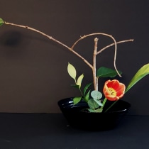 My project for course: Ikebana: flower arrangement for beginners. Interior Design, Decoration, Interior Decoration, Floral, Plant Design, Lifest, and le project by strathconayim - 02.13.2024