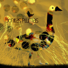 bonitas plumas. Traditional illustration project by Jorgina Miralles Castelló - 02.16.2010