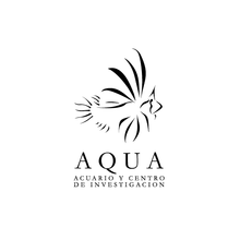 Aqua. Design projeto de Raul Piñeiro Alvarez - 10.03.2010