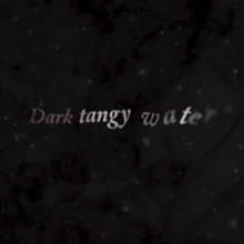 Ink Haiku. Motion Graphics project by lostctrl - 05.21.2010