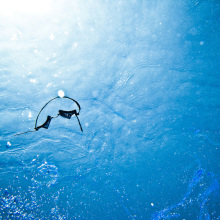 Aqua: safaris submarinos. Un proyecto de Fotografía de Jesús Pérez - 07.06.2010