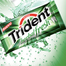 Trident. Design, Traditional illustration, Advertising, Music, Motion Graphics, Photograph, Film, Video, and TV project by Elvis Zambrano Sánchez - 06.12.2010