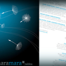 maramara* promocional. Design project by Bi tanta - 06.16.2010