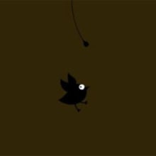 Pajarito. Motion Graphics, Film, Video, and TV project by Luis Liendo - 06.17.2010