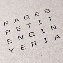 Imagen corporativa | Pagespetit Enginyeria. Un proyecto de Diseño y Publicidad de Zoo Studio - 24.08.2010