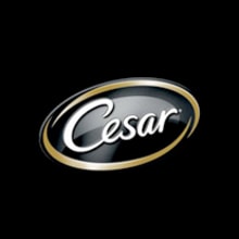 Cesar. Un projet de  de Payo - 09.11.2010