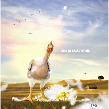 Esa es la actitud..  project by Juan Manuel Pelillo - 11.20.2010