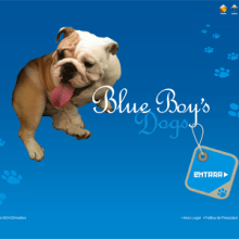 Blue Boys Dogs. Design, e Programação  projeto de Patricia García Rodríguez - 08.02.2011