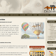 Felcan - Asociacion Protectora Felina y Canina. Design, and Programming project by Matías Palumbo - 03.22.2011