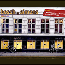 Bosch & Simons . Design, e Programação  projeto de Matías Palumbo - 24.03.2011