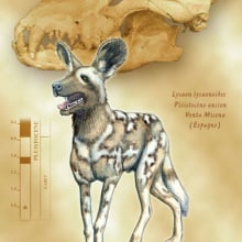 PaleontoLogía Ein Projekt aus dem Bereich Traditionelle Illustration von Lopekan :: - 05.04.2011