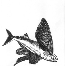 Fish & Chics. Ilustração tradicional projeto de Regina San Martino - 13.04.2011