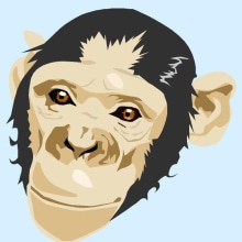 chimp. Design, and Traditional illustration project by Dario Enriquez - 05.01.2011