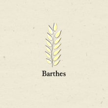 Barthes. Design, Traditional illustration, Programming, and UX / UI project by Marina Gallardo - 05.09.2011