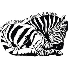 Zebra. Projekt z dziedziny Design, Trad, c i jna ilustracja użytkownika Jose Pérez - 30.05.2011