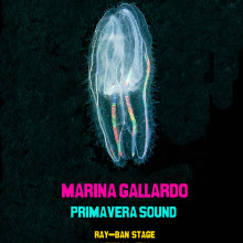 Primavera Sound. Design project by Marina Gallardo - 06.18.2011