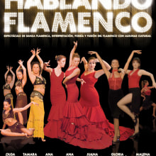 Hablando Flamenco. Design, Traditional illustration, Advertising, and Photograph project by JP - 08.03.2011