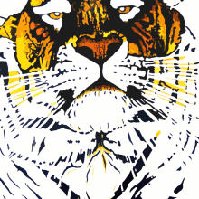 tigre. Traditional illustration project by Simón Aguerrevere Fersaca - 08.08.2011