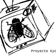 Proyecto Kyoto. Music project by Skolnick - 08.23.2011